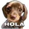 Funny PACK ✤LOL✤ N°1 19