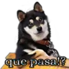 Funny PACK ✤LOL✤ N°1 21