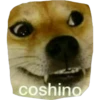 coshino