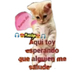 variados 🐕🐈 22