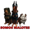 SOMOS MALOTES