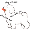MIKO THE FLUFFY WHITE DOG 8