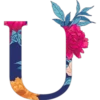 U
