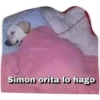 toaparitic Simon orita lo hago