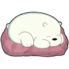 Polar 3 20