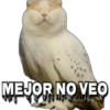Funny PACK ✤LOL✤ N°1 26