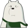 Polar 3 21