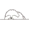 MIKO THE FLUFFY WHITE DOG 9