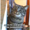 Funny PACK ✤LOL✤ N°1 27