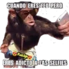 variados 🐕🐈 24