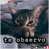 Funny PACK ✤LOL✤ N°1 28