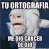 Memes variados 4 28