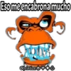 Sombras 30