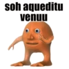 sohaqueditu venuu