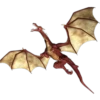 Dragones locos 5
