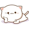 miaus :3 6