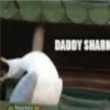jajaja 6