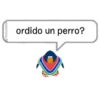 Pinwinos Random 1 7