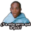 EYa esta perra qué
le picó?