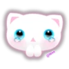 🌈😺WhiteKitty😺🌼 7