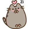 miaus :3 8