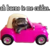 Animales 9