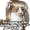 yeisi
La inteligencia te
persigue, pero tu eres
más rápido!