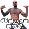 ¿Dónde están perros?.com