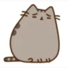 miaus :3 9