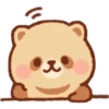Mapache 5