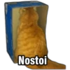 Nostoi