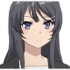 Seishun Buta Yarou Wa Bunny Girl Senpai No Yume Wo Minai 6