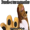 Paralea tus mamadas
Christian