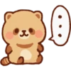 Mapache 6