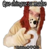 Que chingue sumadre
ChristianS