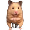 Animales 12