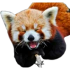 Animales 14