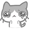 Pequeño gatito Pack 1 16