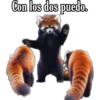 Animales 15