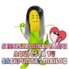 Mazorca mujer 15