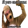 Si paro encabrona
EhristianV