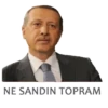 NE SANDIN TOPRAM