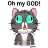 gatito Cute 6