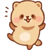 Mapache 11