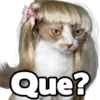 yeisi
Que?