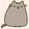miaus :3 11