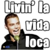 Livin' la vida loca ★AMN