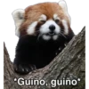 Animales 18