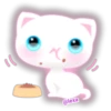 🌈😺WhiteKitty😺🌼 14
