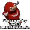 Marcelo agáchate y
conocerlo
PURRUMPGUAAAAGUAAA